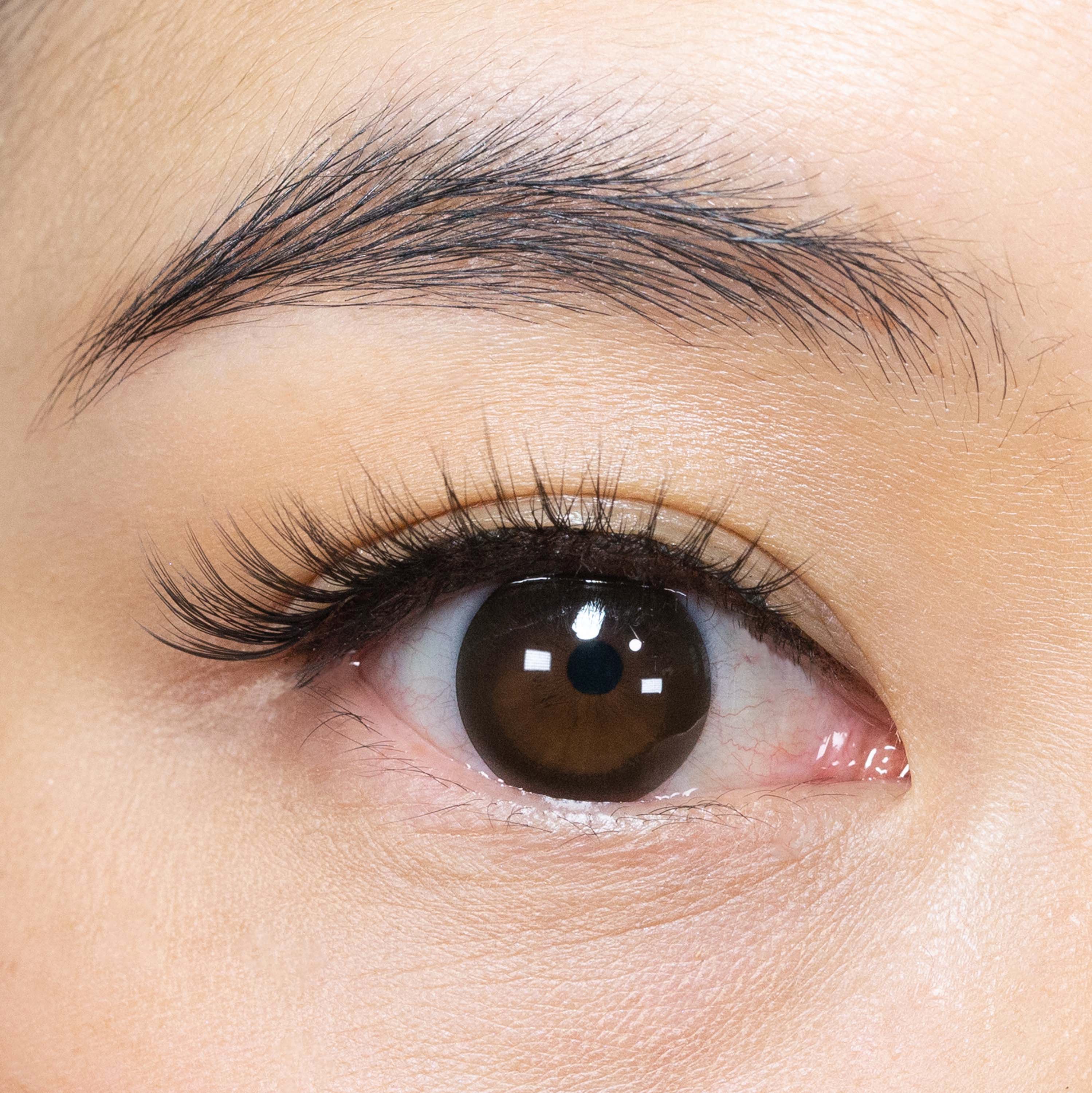 301closeup_62bb074d-bfe8-4372-9f8a-26cb9912ee27.jpg