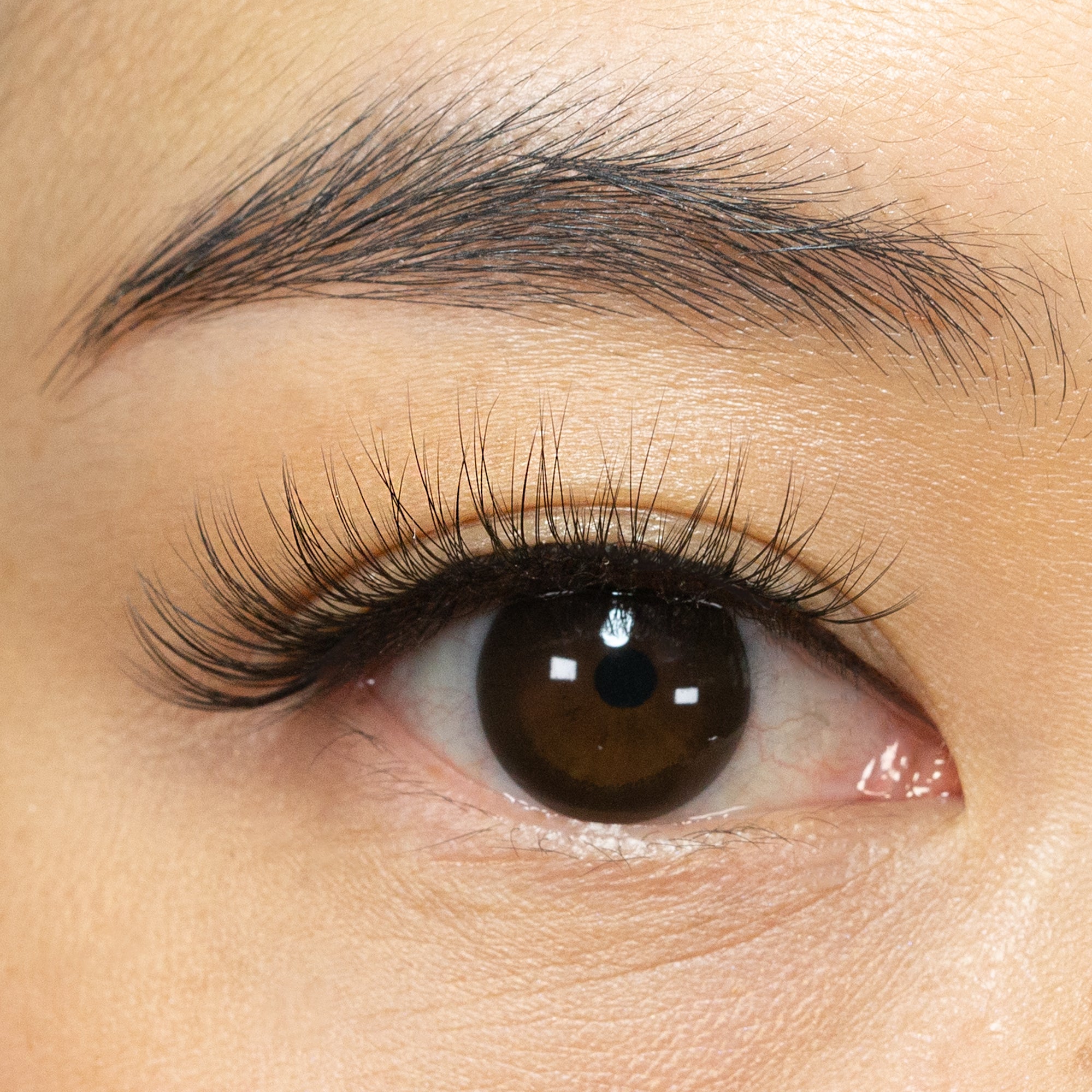 Wedding Lash 300 Variety Pack
