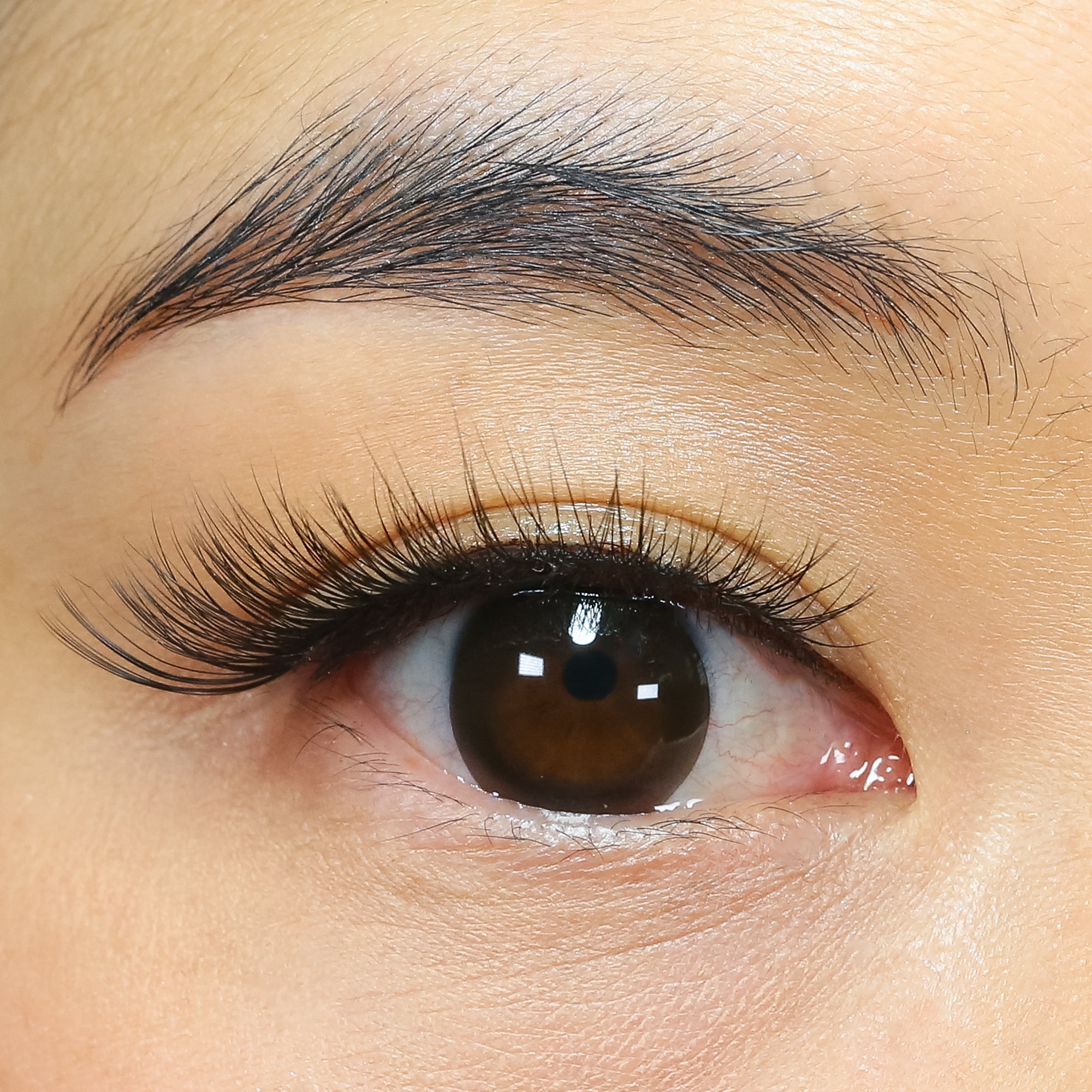 Wedding Lash 300 Variety Pack