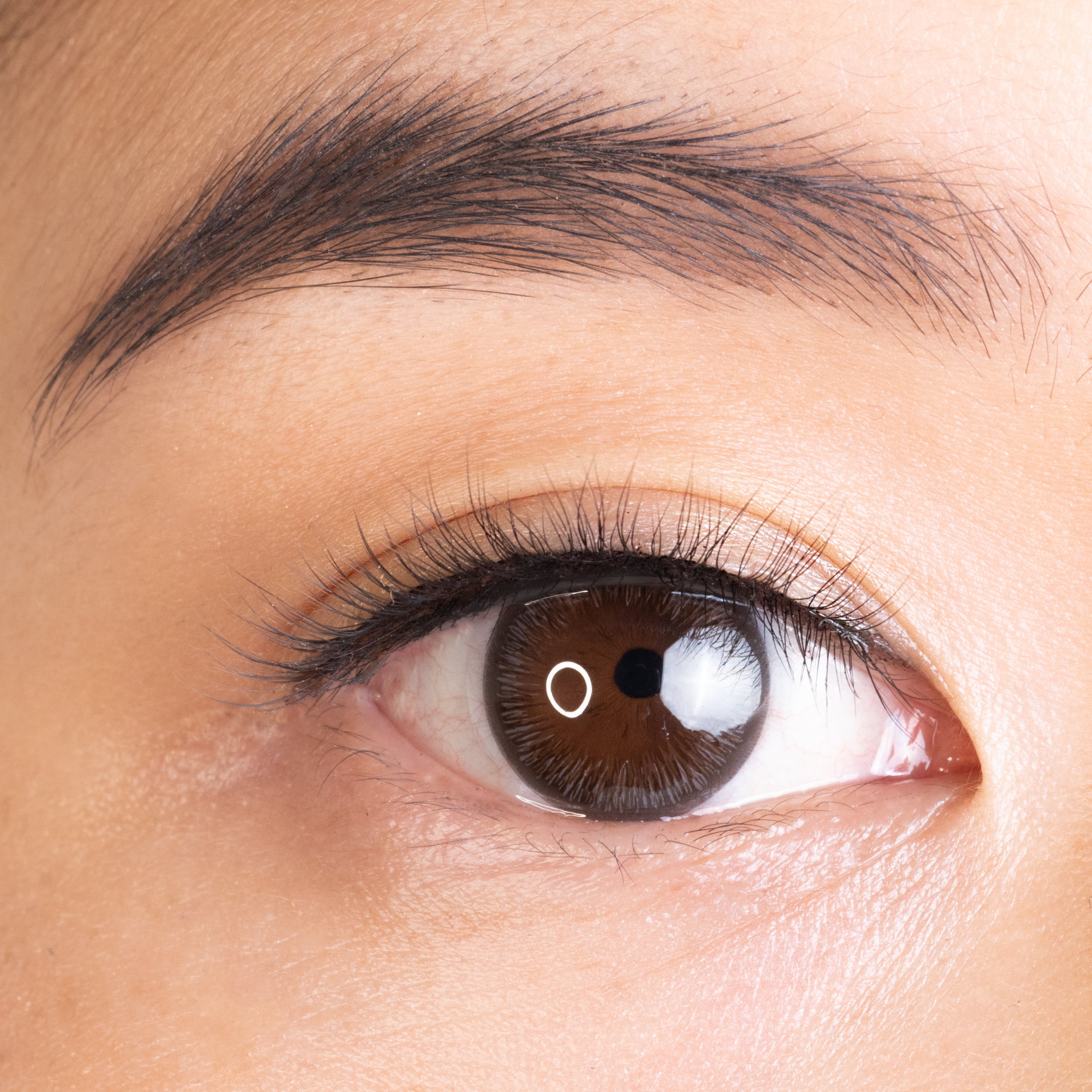DU JOUR - DAILY LASHES