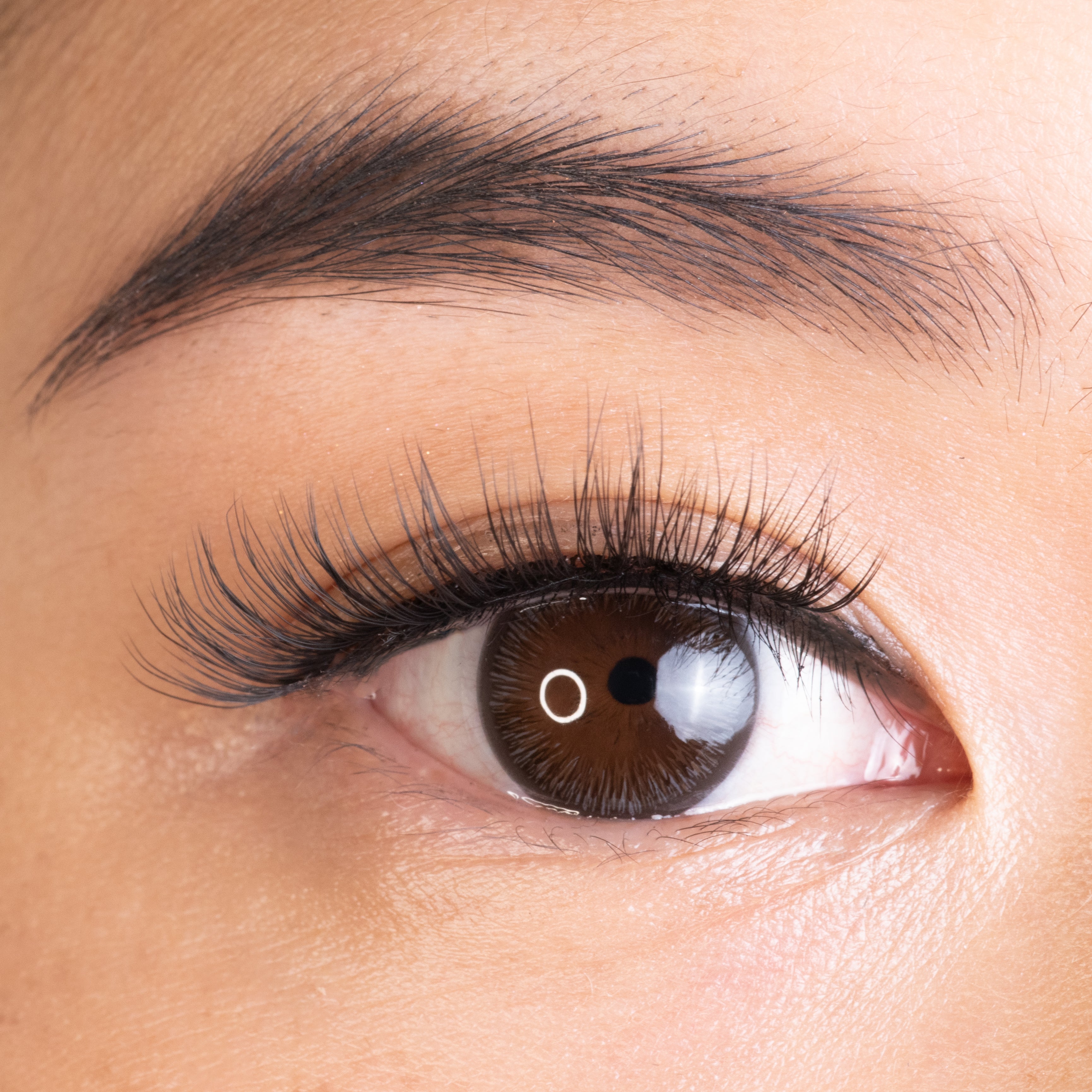 204eye.jpg